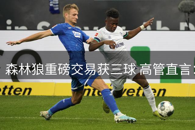 森林狼重磅交易获三球 高管直言：这是冲击总冠军的关键拼图