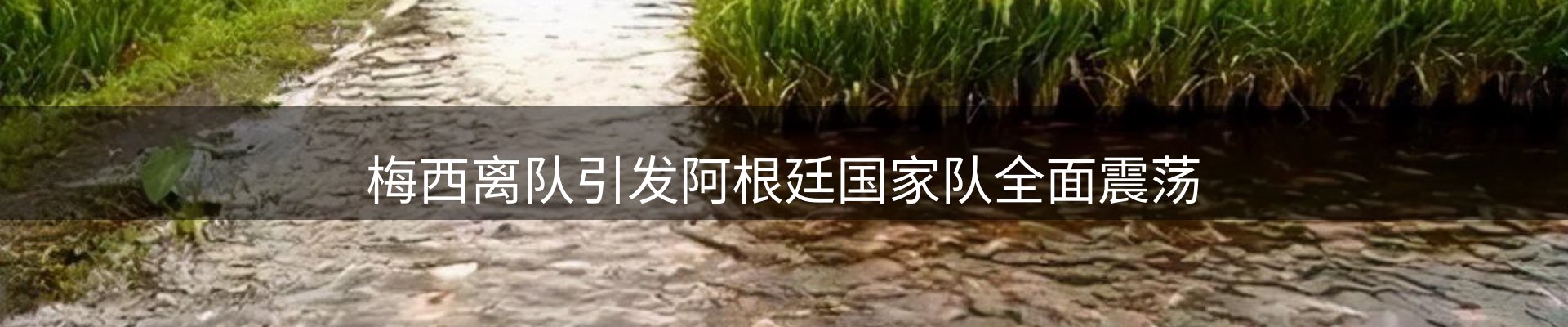 资讯记录
