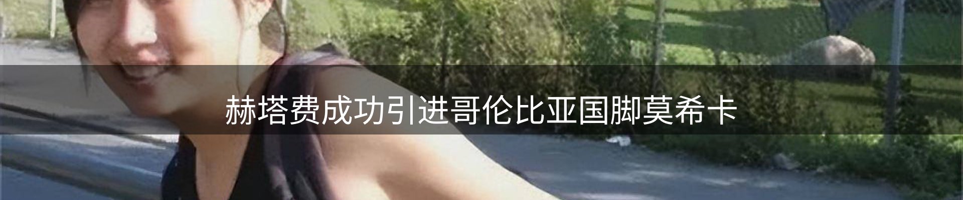 新闻资讯