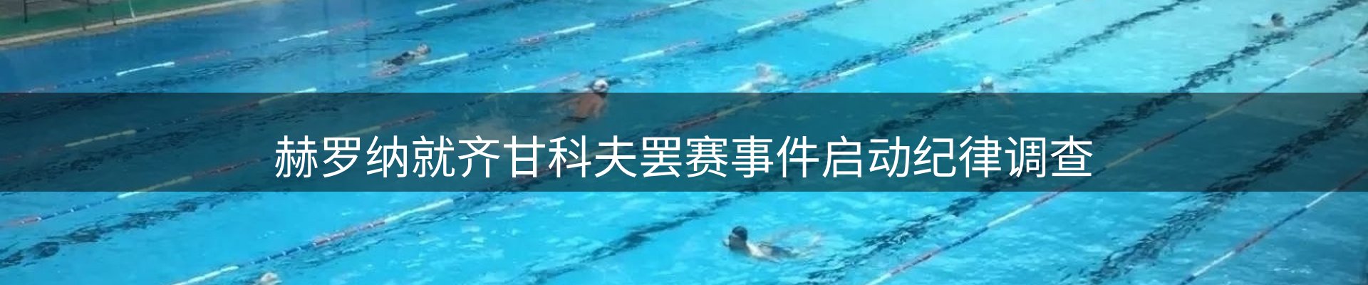 新闻资讯